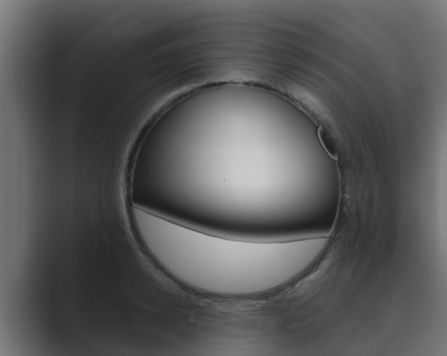 X0000089890942200706281108