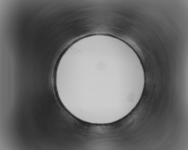 X0000089890950200706281108