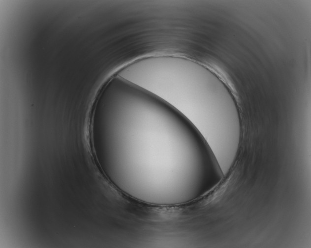 X0000089890952200706281108