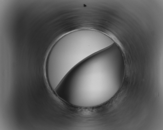 X0000089890955200706281108