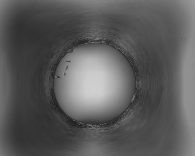 X0000089890961200706281107