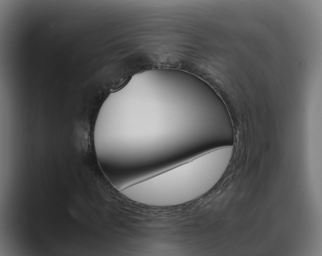 X0000089890963200706281107
