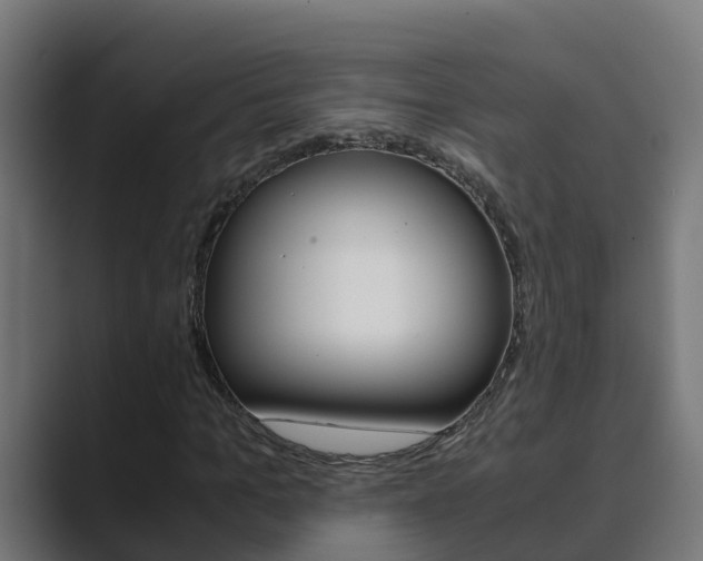 X0000089890965200706281107