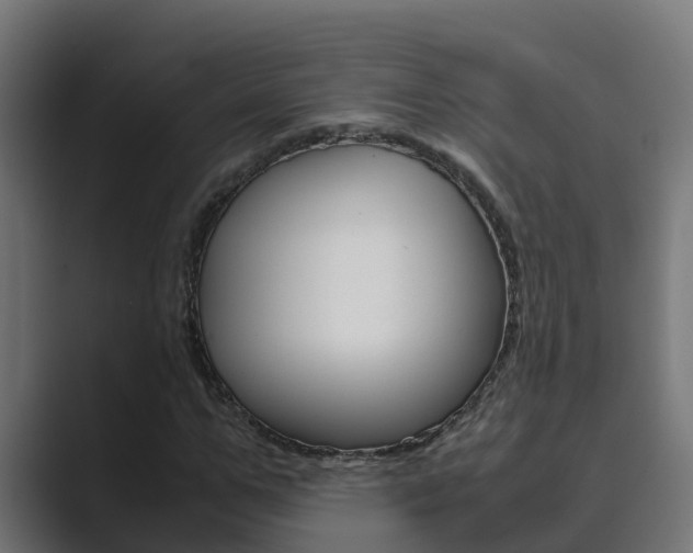 X0000089890967200706281107