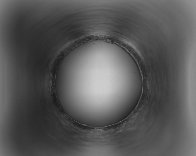X0000089890968200706281107