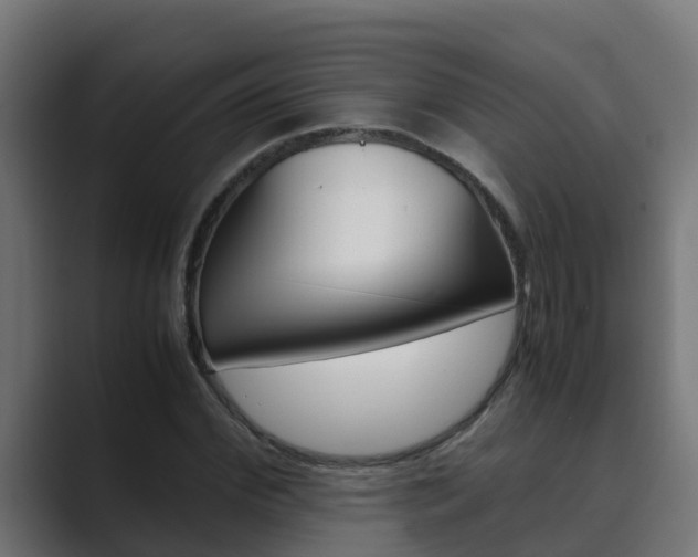 X0000089890972200706281107