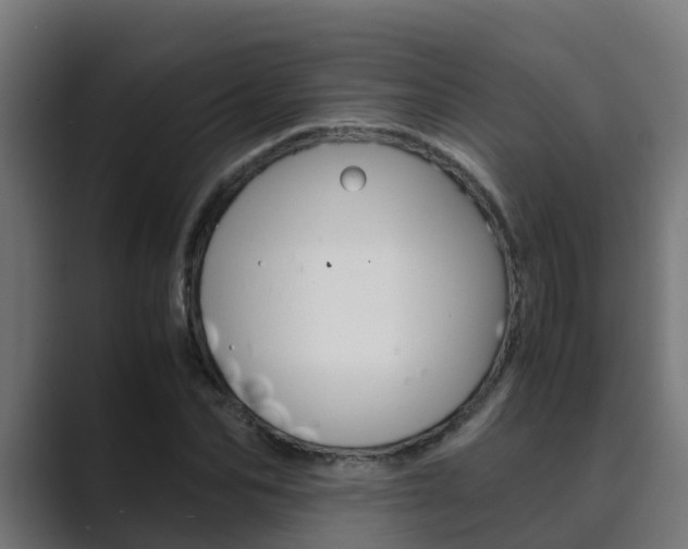 X0000089890974200706281107