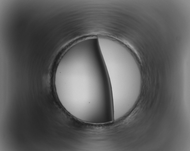 X0000089890975200706281107