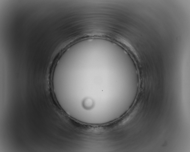 X0000089890978200706281107