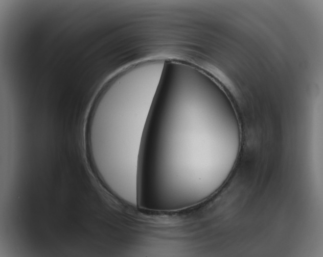 X0000089890980200706281107