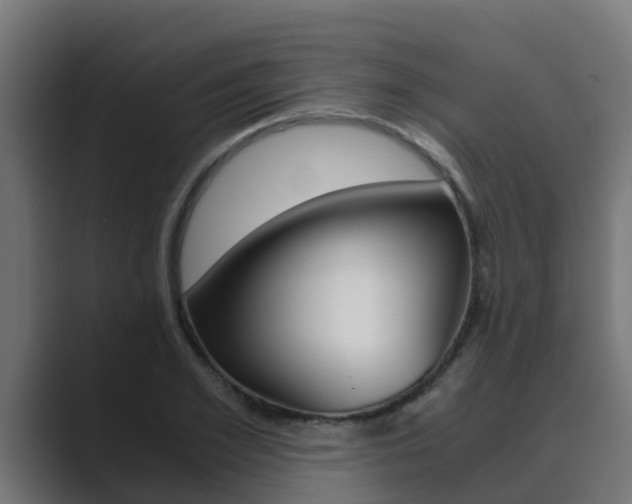 X0000089890981200706281107