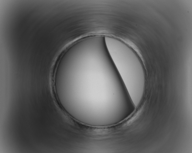 X0000089890989200706281107