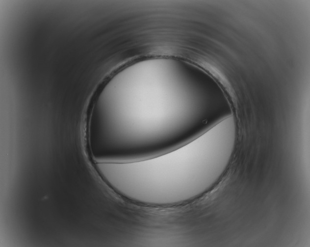 X0000089890992200706281107