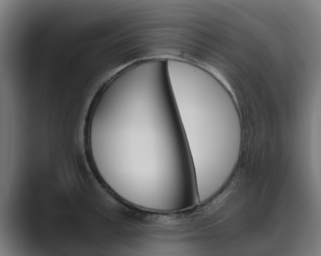 X0000089890995200706281107