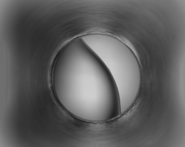 X0000089890997200706281107