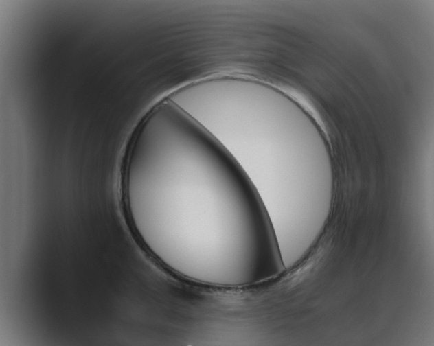 X0000089890999200706281107
