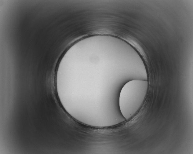 X0000089891000200706281107