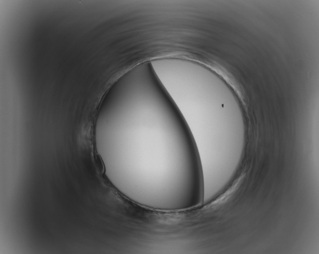 X0000089891001200706281107