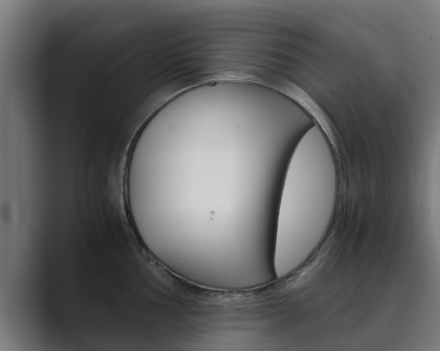X0000089891002200706281107