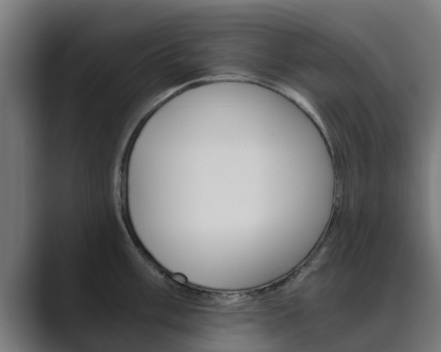 X0000089891003200706281107