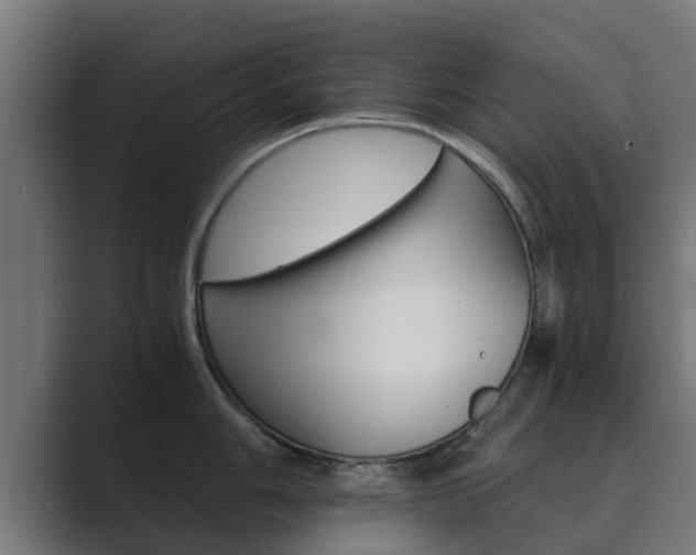X0000089891006200706281107