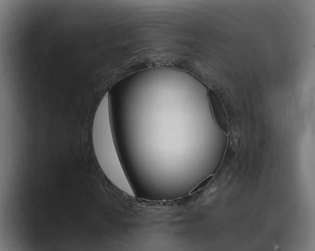 X0000089891010200706281106