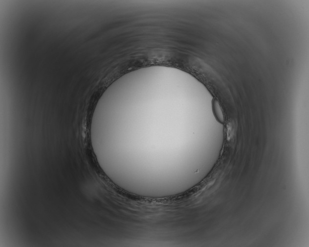 X0000089891011200706281106