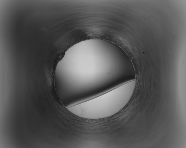 X0000089891012200706281106