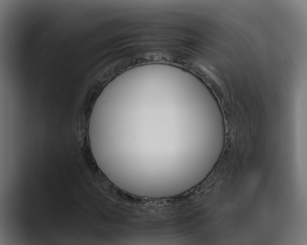 X0000089891015200706281106