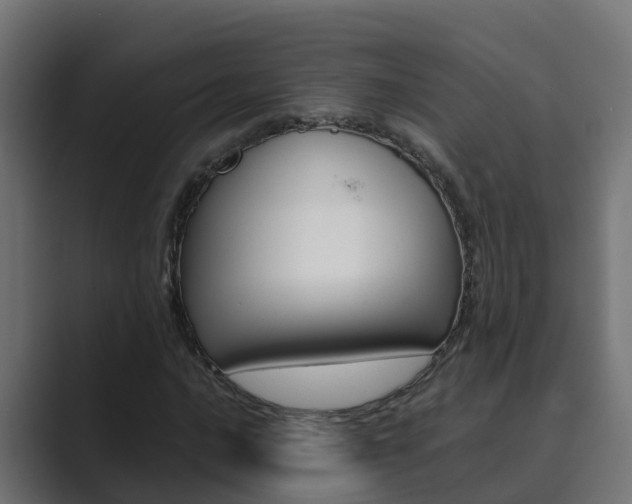 X0000089891016200706281106