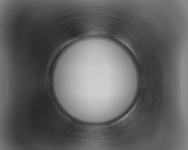 X0000089891018200706281106