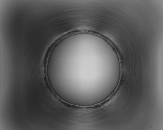 X0000089891022200706281106