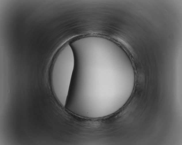 X0000089891023200706281106