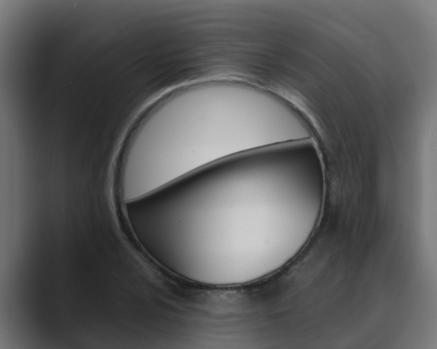 X0000089891024200706281106