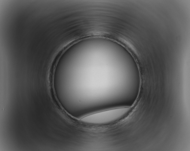 X0000089891026200706281106