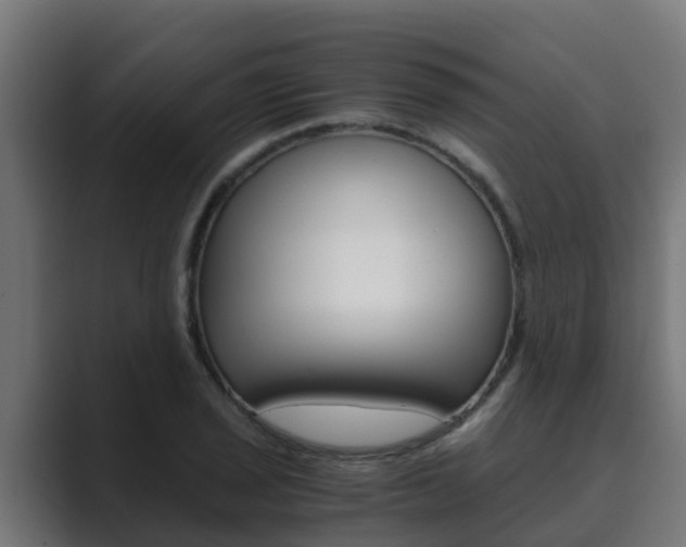 X0000089891029200706281106