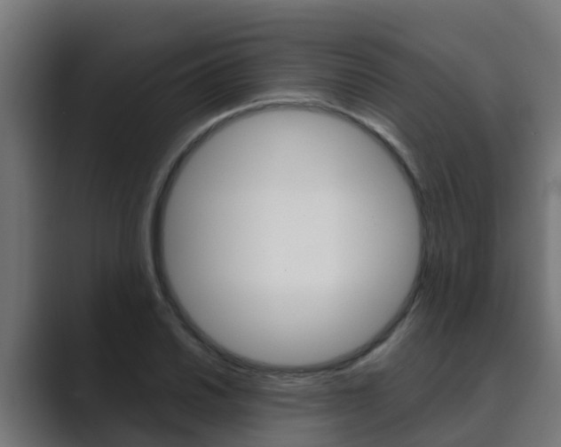 X0000089891030200706281106