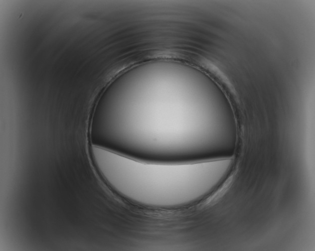 X0000089891033200706281106
