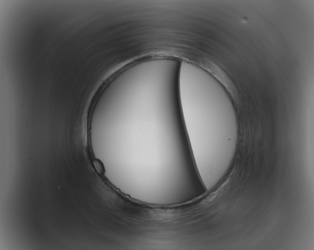 X0000089891036200706281106