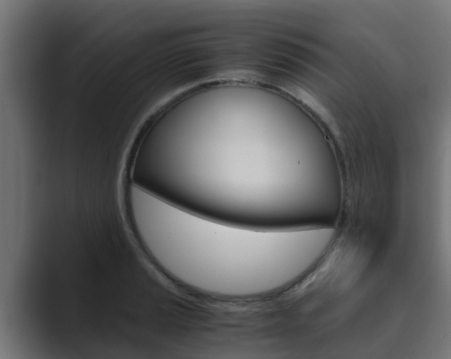 X0000089891037200706281106