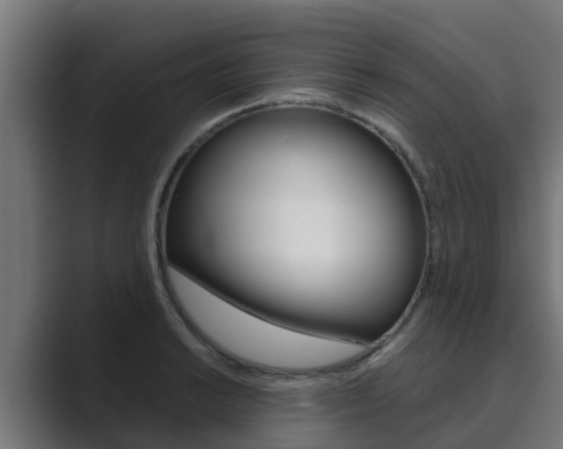 X0000089891038200706281106