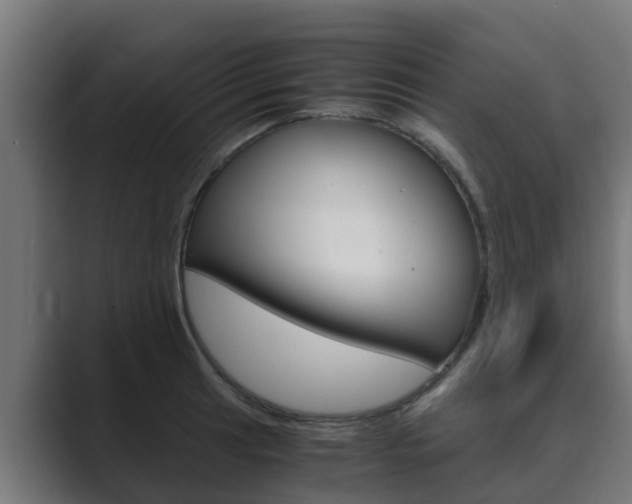 X0000089891041200706281106