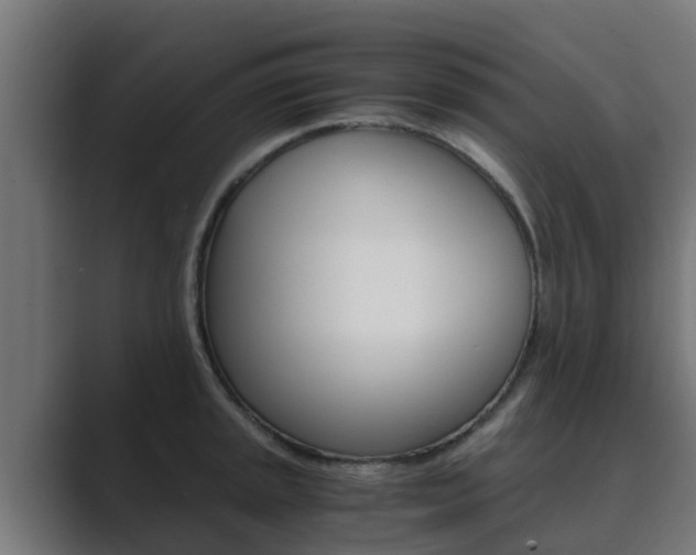 X0000089891045200706281106