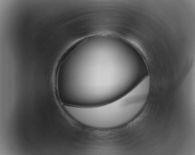X0000089891046200706281106