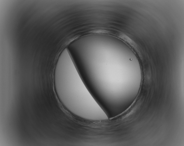 X0000089891049200706281106