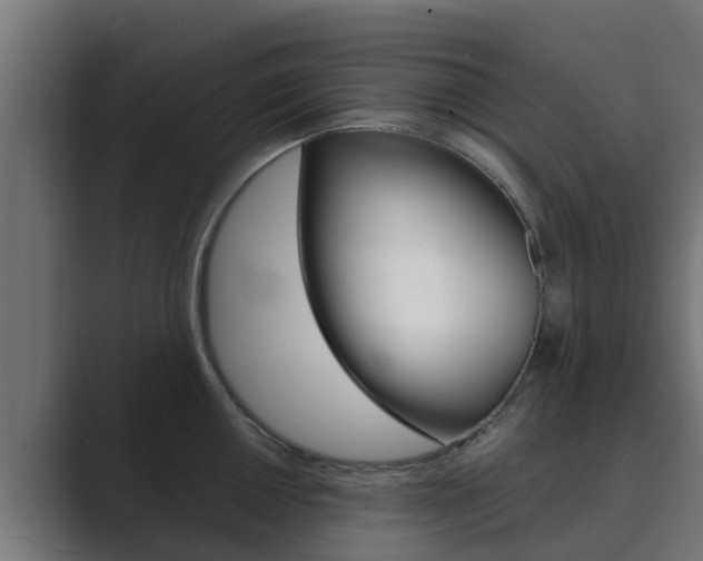 X0000089891050200706281106
