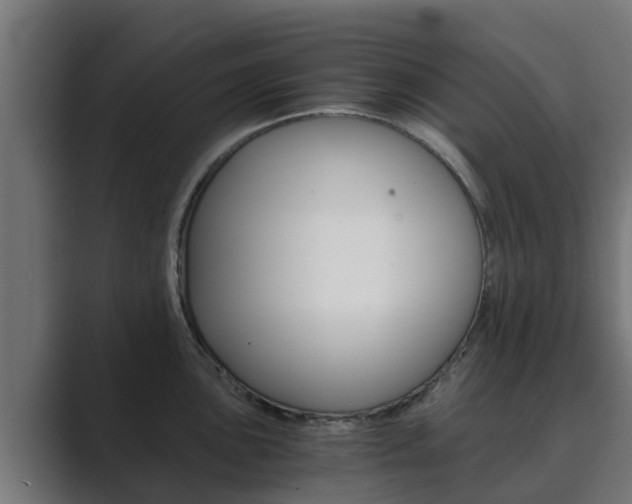 X0000089891051200706281106