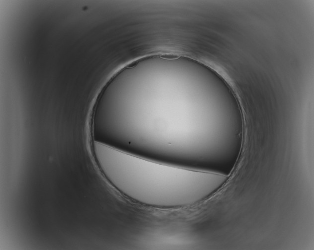 X0000089891056200706281107