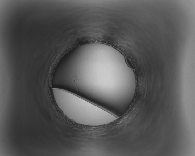 X0000089891057200706281106