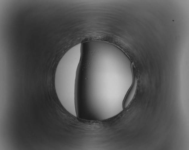 X0000089891058200706281106